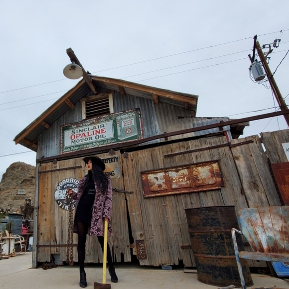 Meet your Posher, Dalhia - Picture 4 of 8